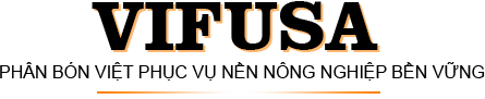 Logo Footer