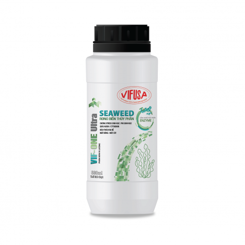 Rong biển chai 500ml - Mãng cầu 
